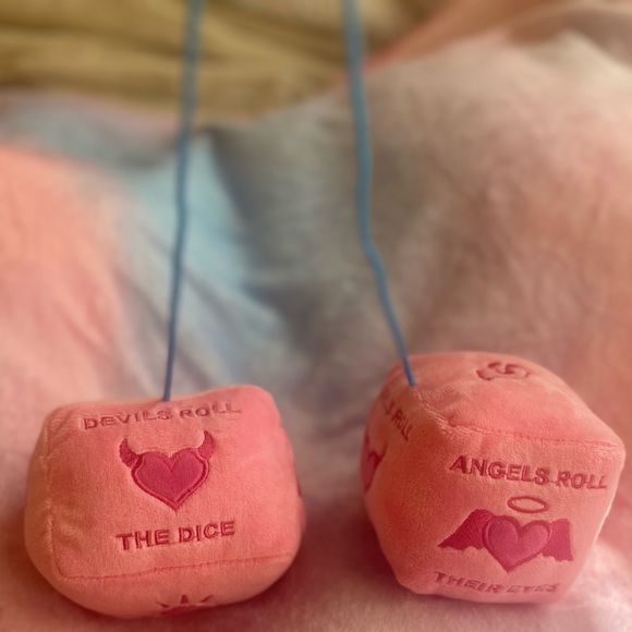 taylor swift devils roll the dice fuzzy lover valentines day valentine’s pink TS - Picture 11 of 16